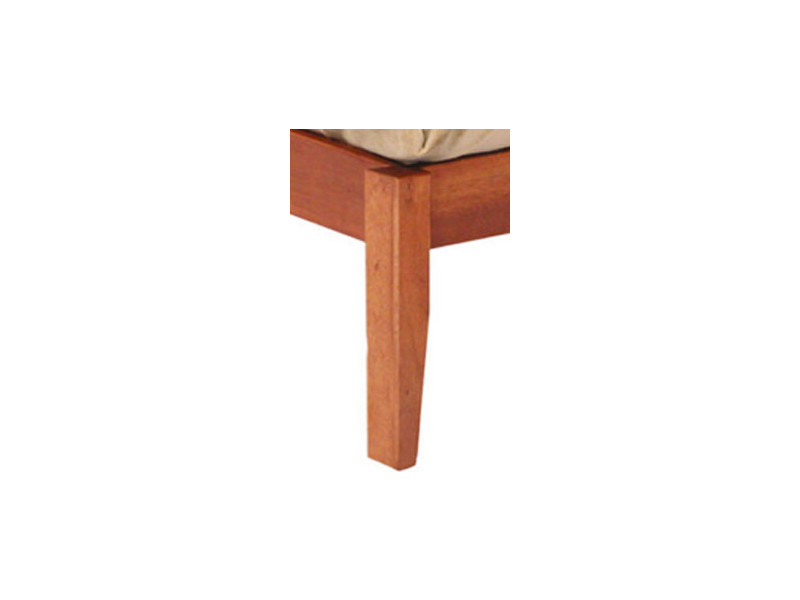 Leg