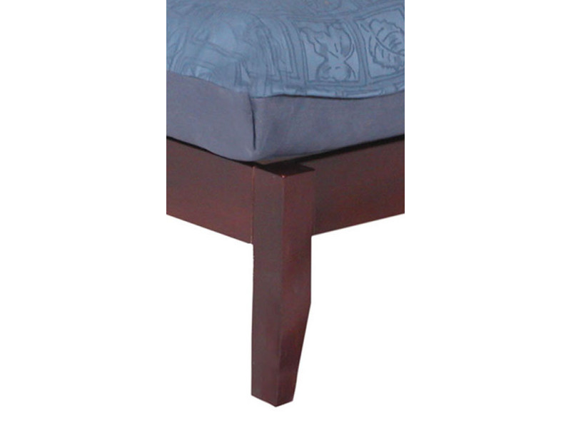 Leg
