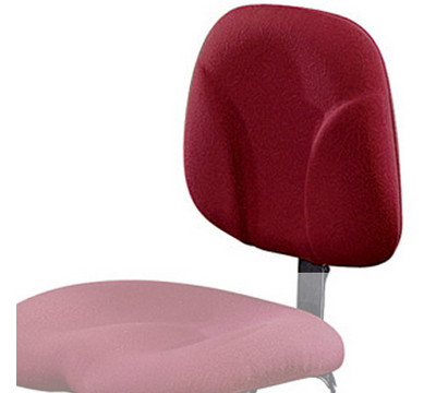 Back Support - Front View