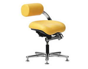 Neutral Posture AbStool