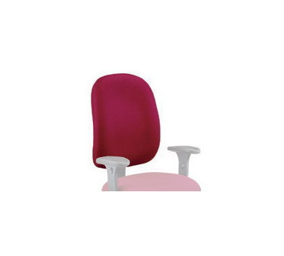 Back Support - Front View