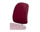 Back Support - Front View