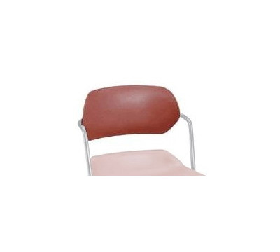 Back Support - Front View