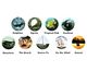 Marine Patterns