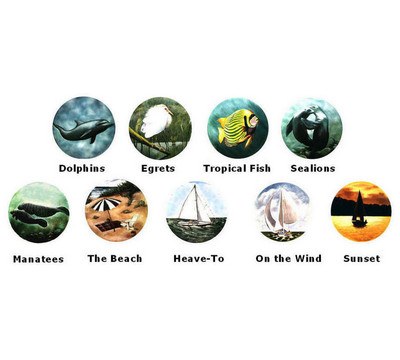 Marine Patterns