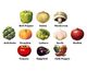 Vegetable Patterns