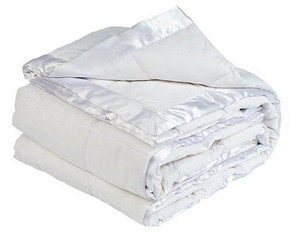 Daniadown Down Blanket