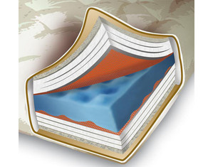 August Lotz Cloud 9 Mattress - Fast FREE FedEx Shipping!