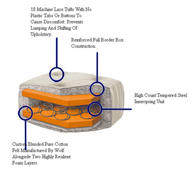 Cross Section Close up