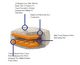 Cross Section Close up