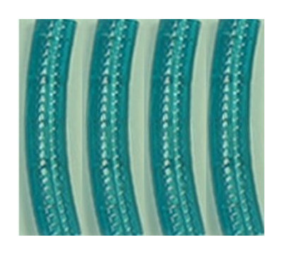 Lynx_Lite_3-Wire_1_2_inch_Chasing_Spools_Rope_Light.jpg