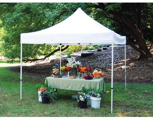 King Canopy 10ft x 10ft Festival Canopy