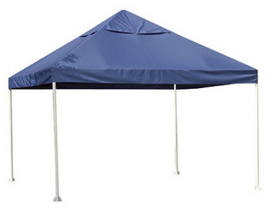 ShelterLogic 10 x 10 ft Celebration Garden  Canopy