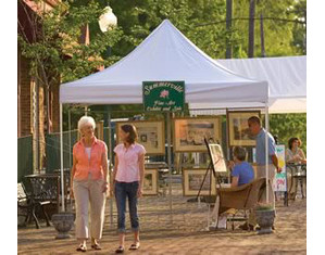 ShelterLogic 10 x 15 ft Straight Leg Pop-Up Canopy