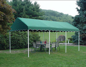 ShelterLogic 10 x 20 ft Decorative Canopy