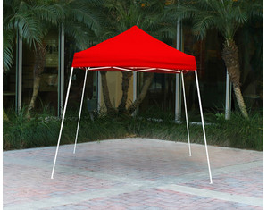 ShelterLogic 8 x 8 ft Slant Leg Pop Up Canopy