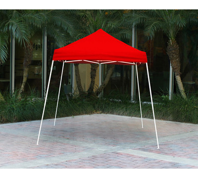 Canopy_Factory_Shelter_Logic_8_x_8_ft_Slant_Leg_Pop_Up_Canopy.jpg