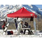 Over $600  Canopies