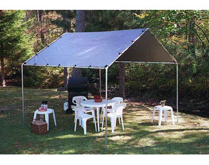 Harpster 10 x 10 ft Standard Tubing Canopy