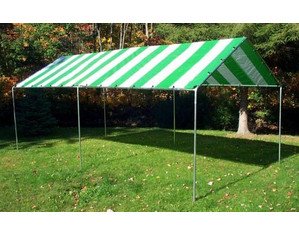 Harpster 10 x 20 ft Heavy Duty Tubing Canopy