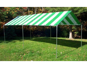 Harpster 10 x 20 ft Standard Tubing Canopy