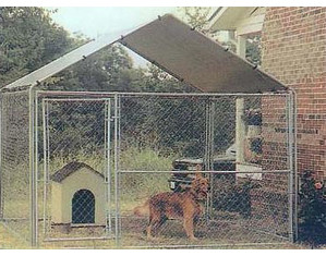 King Canopy 10 x 10 ft Pup Tent Canopy