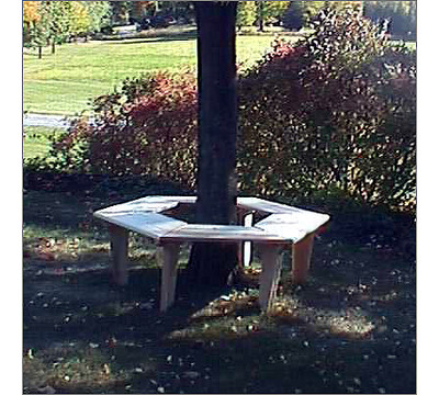 Old_Adirondack_24_inch_Around_the_Tree_Bench_Tree_Bench.jpg