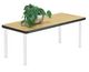 Table Top