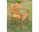 Arm Chair
