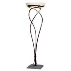 Transitional  Floor Lamps