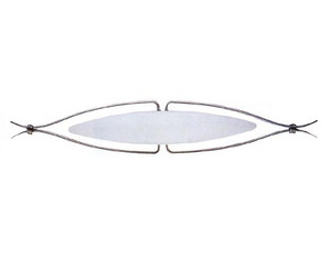 Forecast Lighting Snowshoe Bath Light - Fast FREE FedEx Shipping!