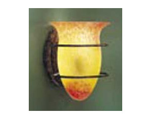 Illuminating Experiences Rustic Oval Wall Bracket Bath Light - Fast FREE FedEx Shipping!