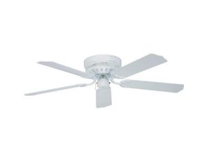 Ellington White 42