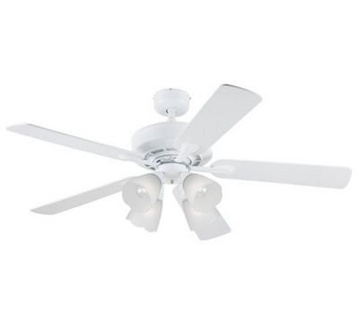 Westinghouse_Lighting_Prot__g___Ceiling_Fan.jpg