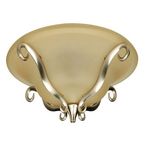 Editors Choice  Ceiling Fan Lights