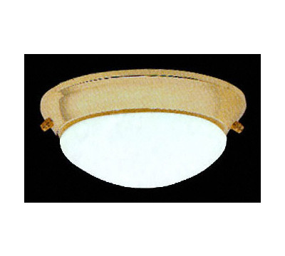 Nicor_QL1_Fan_Fitter_Ceiling_Fan_Light.jpg