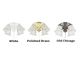 Available Finishes