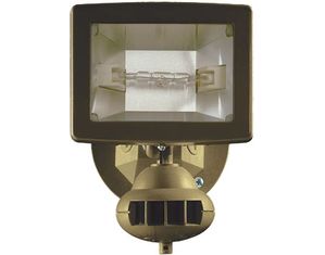 TBC Home Security Halogen Motion Detector