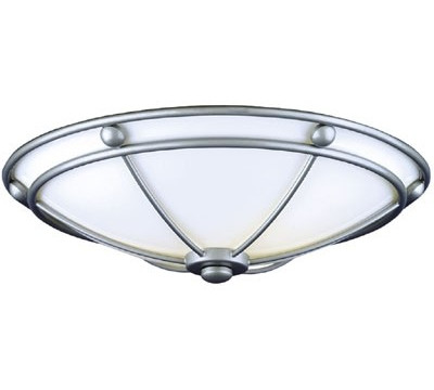 Forecast_Lighting_2_Light_Captivo_Flush_Mount_Ceiling_Light.jpg