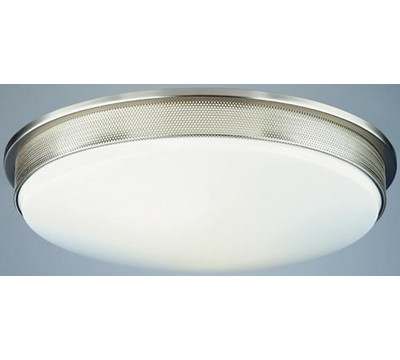 Forecast_Lighting_Satin_Nickel_Perf_Flush_Mount_Ceiling_Light.jpg