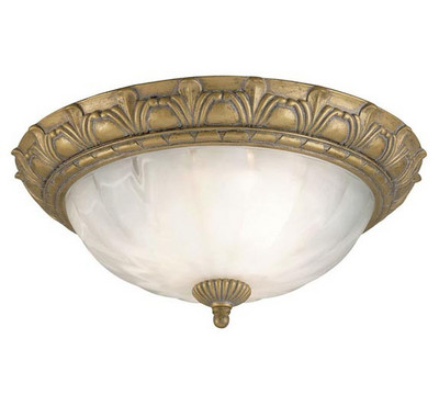 Westinghouse_Lighting_67242_Flush_Mount_Ceiling_Light.jpg