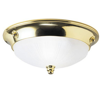 Westinghouse_Lighting_69160_Flush_Mount_Ceiling_Light.jpg