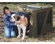 Dog Kennels