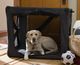 Dog Crates