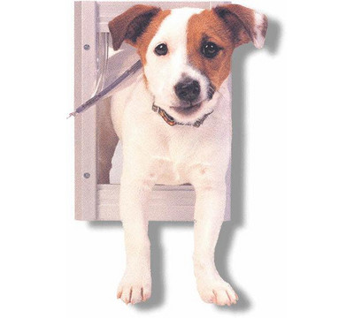 Petsafe_Classic_Pet_Door_Gate_and_Door.jpg