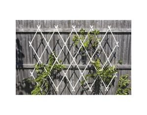 Achla Design Lattice Trellis - Wall Mounted