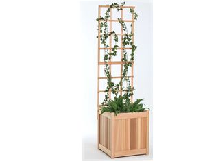 All Things Cedar 2 pc Planter with Trellis