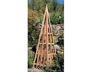 Arboria 81 in Pyramid Trellis