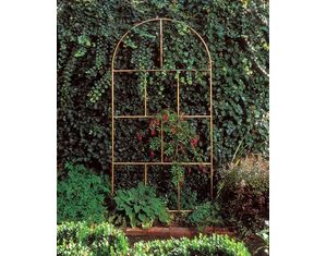 Garden Ventures Chelsea Wall Trellis