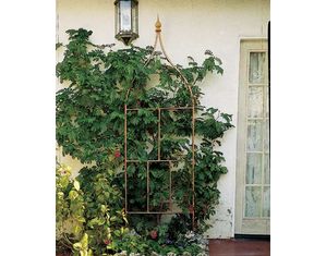 Garden Ventures Lisbon Wall Trellis
